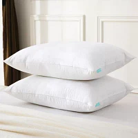 Waverly Feather And Down Blend Pillow Set Of 2