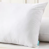 Waverly Feather And Down Blend Pillow Set Of 2