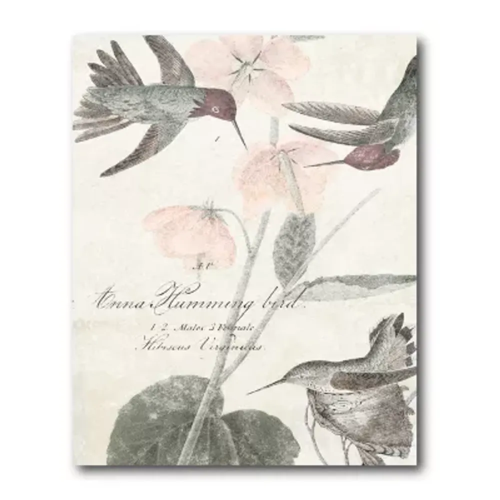 Courtside Market Soft Hummingbirds Canvas Art