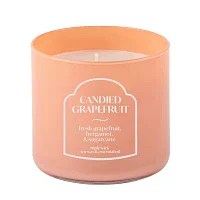 Distant Lands 14 Oz 3 Wick Candied Grapefruit Scented Jar Candle