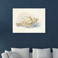 Lumaprints Ocean Treasures Ii Canvas Giclee Canvas Art