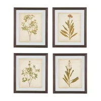 Signature Design by Ashley Botanical 4-pc. Framed Wall Art Sets