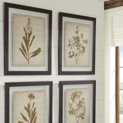 Signature Design by Ashley Botanical 4-pc. Wall Art Sets