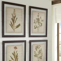 Signature Design by Ashley Botanical 4-pc. Framed Wall Art Sets