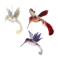 North Pole Trading Co. Hummingbird Set 3-pc. Christmas Ornament