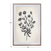 Safavieh 24" X 36" Fresh Cut Flora Print