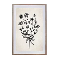 Safavieh 24" X 36" Fresh Cut Flora Print