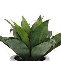 13'' Potted Artificial Green Agave Plant