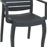 2 Pack Patio Accent Chair