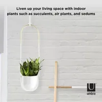 Umbra Bolo Ceramic Planter