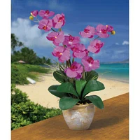 Nearly Natural Double Phalaenopsis Silk Orchid Flower Arrangement