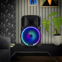 Befree Sound Portable Speaker