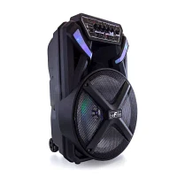 Befree Sound Portable Speaker