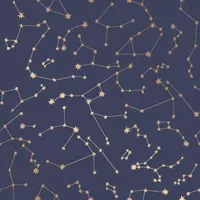 Novogratz Constellations Navy Peel And Stick Wallpaper