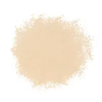 Mineral Fusion Pressed Powder Foundation