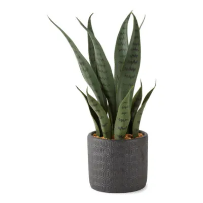 Distant Lands 15" Faux Snake Artificial Plant