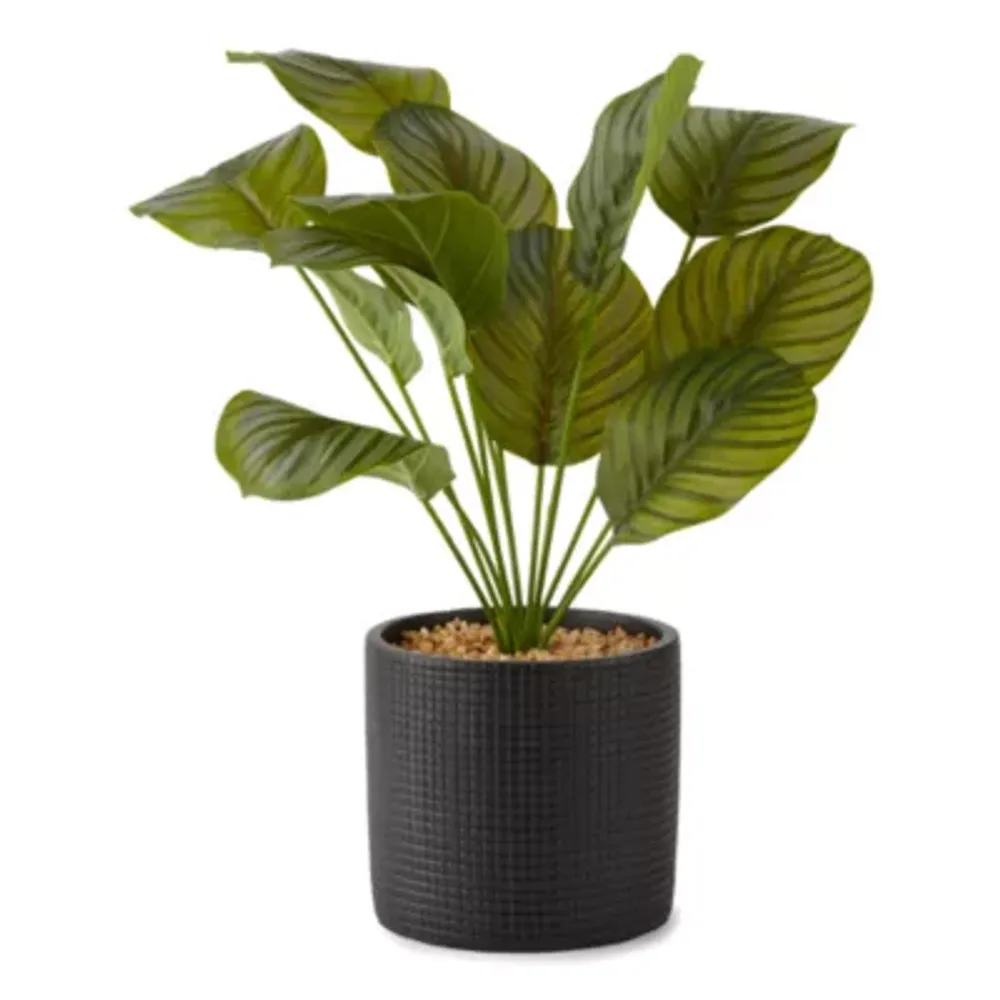 Distant Lands 16" Faux Prayer Artificial Plant