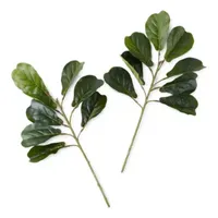 Linden Street 24" Fiddle Leaf Set Of 2 Vase Filler