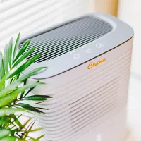 Crane Compact 4 Pint Dehumidifier