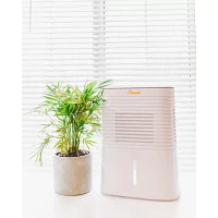 Crane Compact 4 Pint Dehumidifier