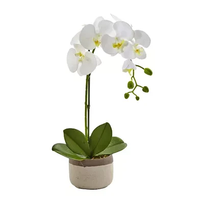 Nearly Natural Phalaenopsis Orchid In Ceramic Pot Artificial Flowers