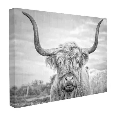 Stupell Industries Highland Cow Canvas Art