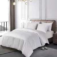 Blue Ridge Home Fashions 1000 Thread Count  European White Down Comforter