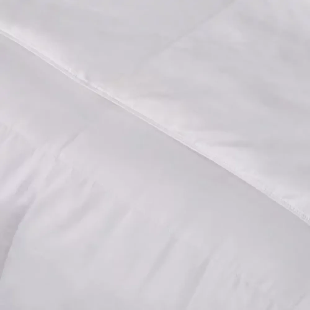 Blue Ridge Home Fashions 1000 Thread Count European White Goose Down Comforter - Extra Warmth