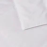 Blue Ridge Home Fashions 1000 Thread Count European White Goose Down Comforter - Extra Warmth