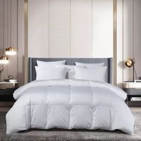 Beautyrest Sateen Cotton European White Goose Down Comforter - All Seasons