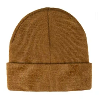 Levi's Beanie Stocking Stuffer Cold Weather Set