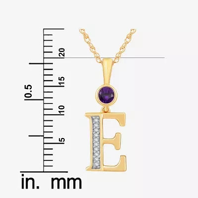 E Womens Genuine Purple Amethyst 14K Gold Over Silver Pendant Necklace