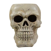 Northlight 11in Ivory And Black Halloween Skull Christmas Tabletop Decor