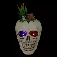 Northlight 8.75in Led Lighted Succulent Skull Lighted Christmas Tabletop Decor