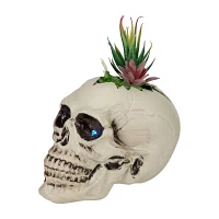 Northlight 8.75in Led Lighted Succulent Skull Lighted Christmas Tabletop Decor