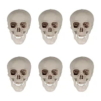 Northlight Skeleton Skulls 6-pc. Christmas Tabletop Decor