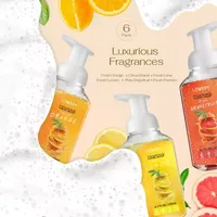 Lovery Foaming Hand Soap - Pack Of 6  - Citrus ($48 Value)