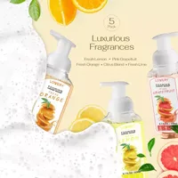 Lovery Foaming Hand Soap - Pack Of 5 -  Citrus ($42 Value)