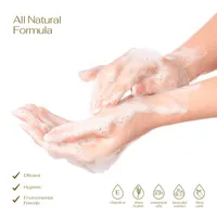 Lovery Foaming Hand Soap - Pack Of 5 -  Citrus ($42 Value)