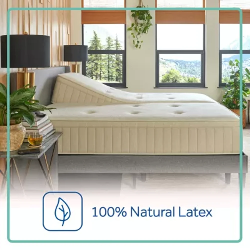 Sealy® Naturals Muir Soft - Mattress + Box Spring