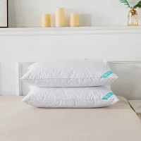 Waverly Antimicrobial treated Feather Pillow Set Of 2