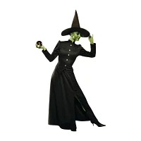 Womens Classic Witch The Wizard of Oz Costume