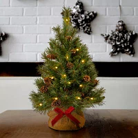 National Tree Co. Pine Cone Burlap 3 Foot Pre-Lit Pine Christmas Tree