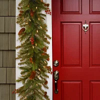 National Tree Co. Noelle Indoor Outdoor Christmas Garland