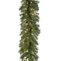 National Tree Co. Norwood Fir Indoor Outdoor Christmas Garland