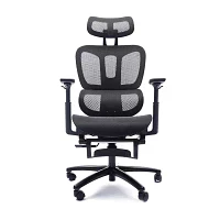 Sealy Hxley Ergonomic Design Adjustable Height Office Chair