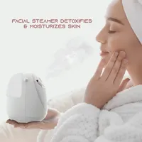 Slf Nano Mist Facial Steamer