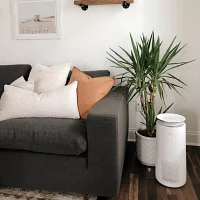 Crane True HEPA Air Purifier With Germicidal UV Light, 500 Sq Ft. Coverage, Ultra Premium