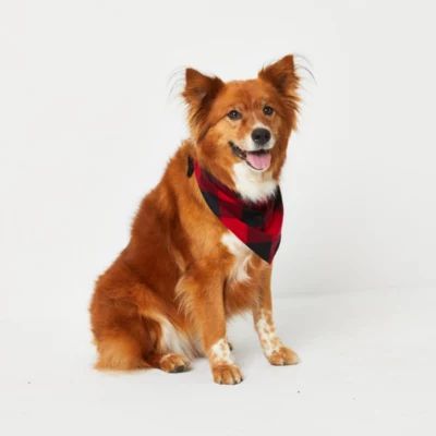 North Pole Trading Co. Plaid Dog Pet Bandanas