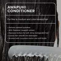 Paul Mitchell Awapuhi Conditioner